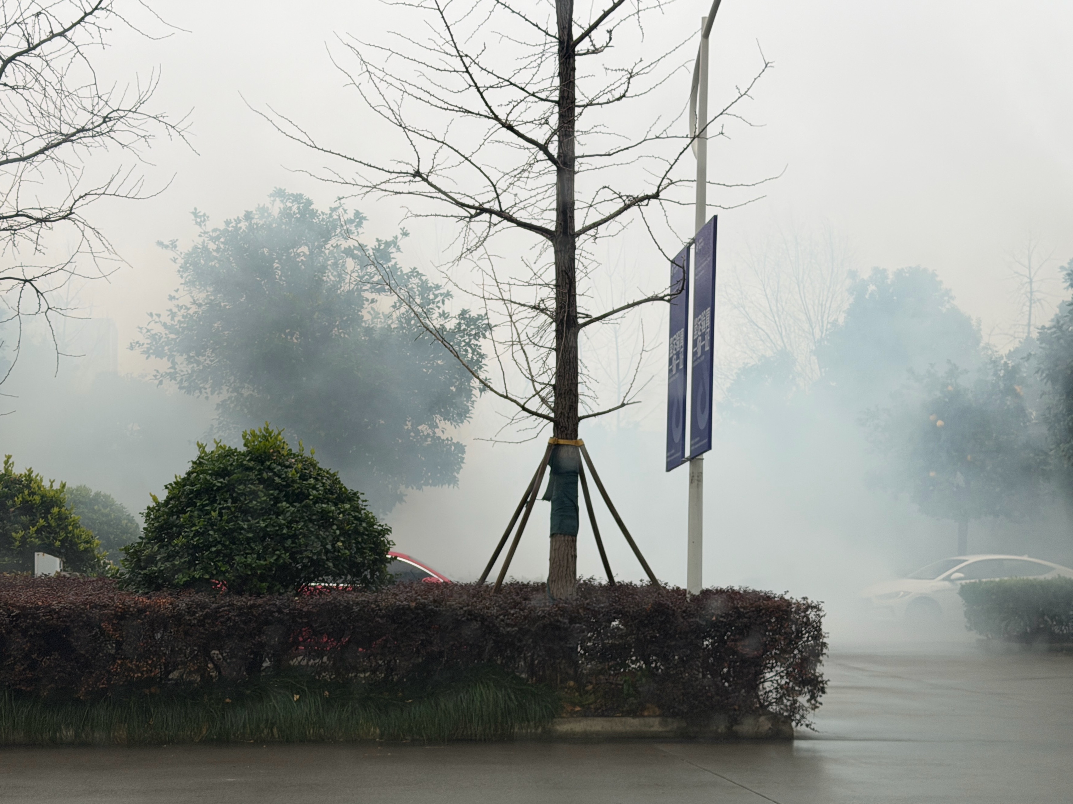 初八开工的鞭炮真红火啊，“大雾来了” 开工大吉