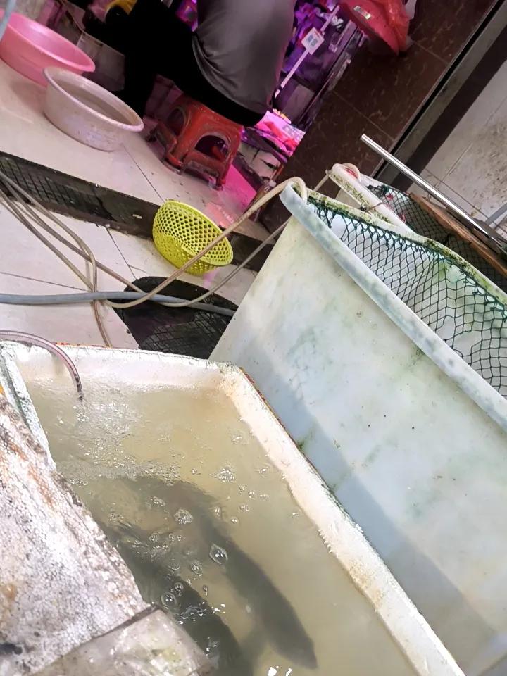 这样的好心态，着实难得！
      我卖鸡，化州老乡卖渔，我与他同在广州大道北