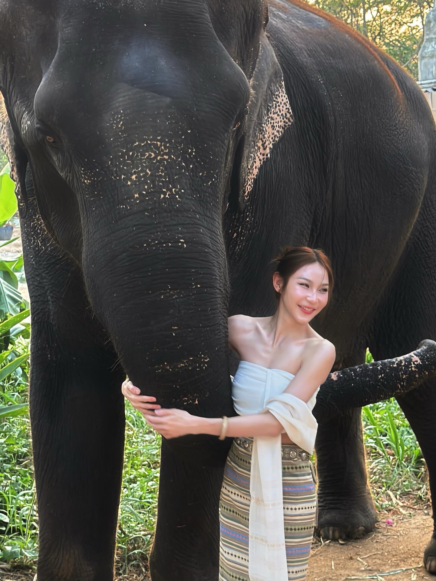 回去告诉你妈 有个单身很久的泰国美女。想给你一个家