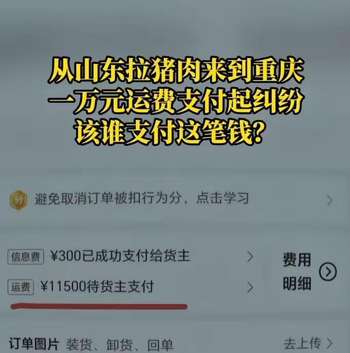 这是一起典型的货运合同纠纷，反映了运输行业中常见的责任、权益与诚信问题，也展现了