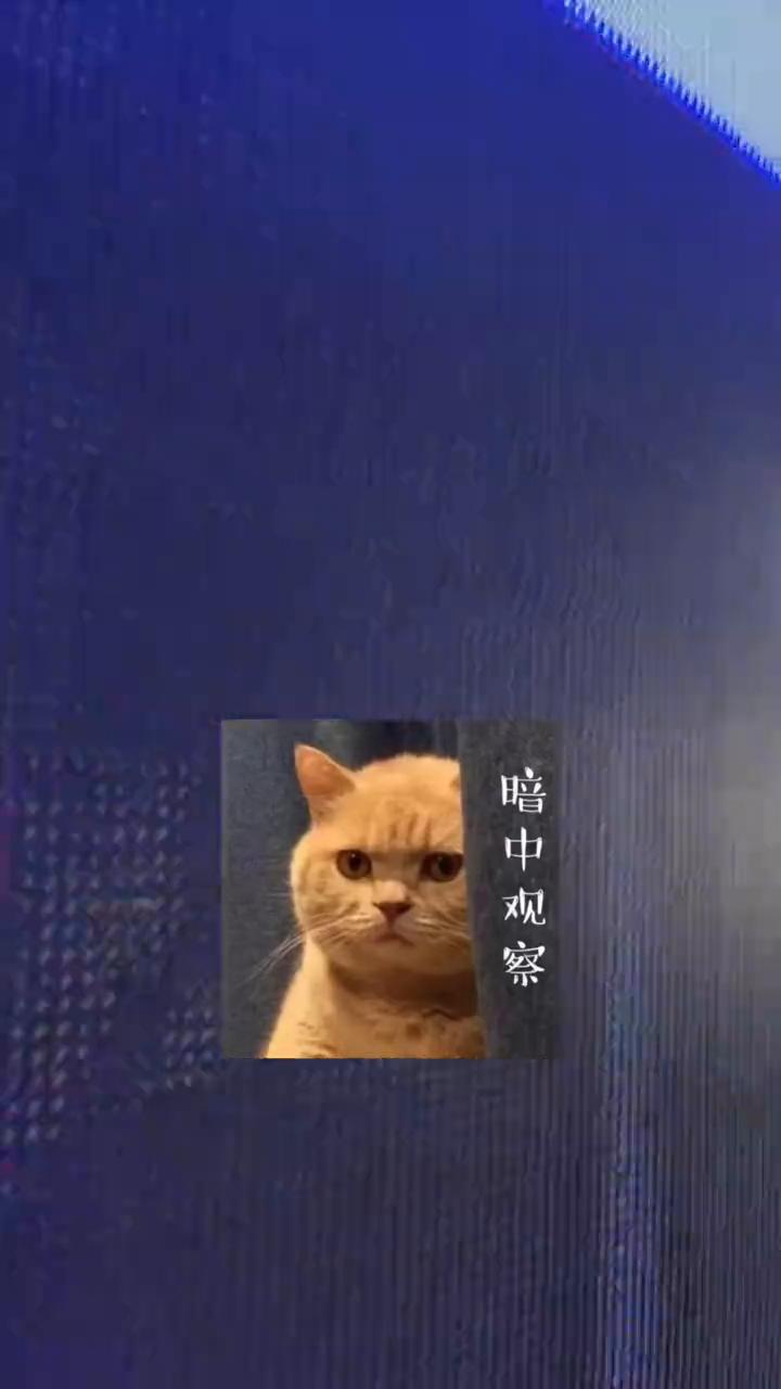代号探秘斯特科技，危险指数五星。在意境智慧空间营造有限公司的科技牛马工位上俘获一