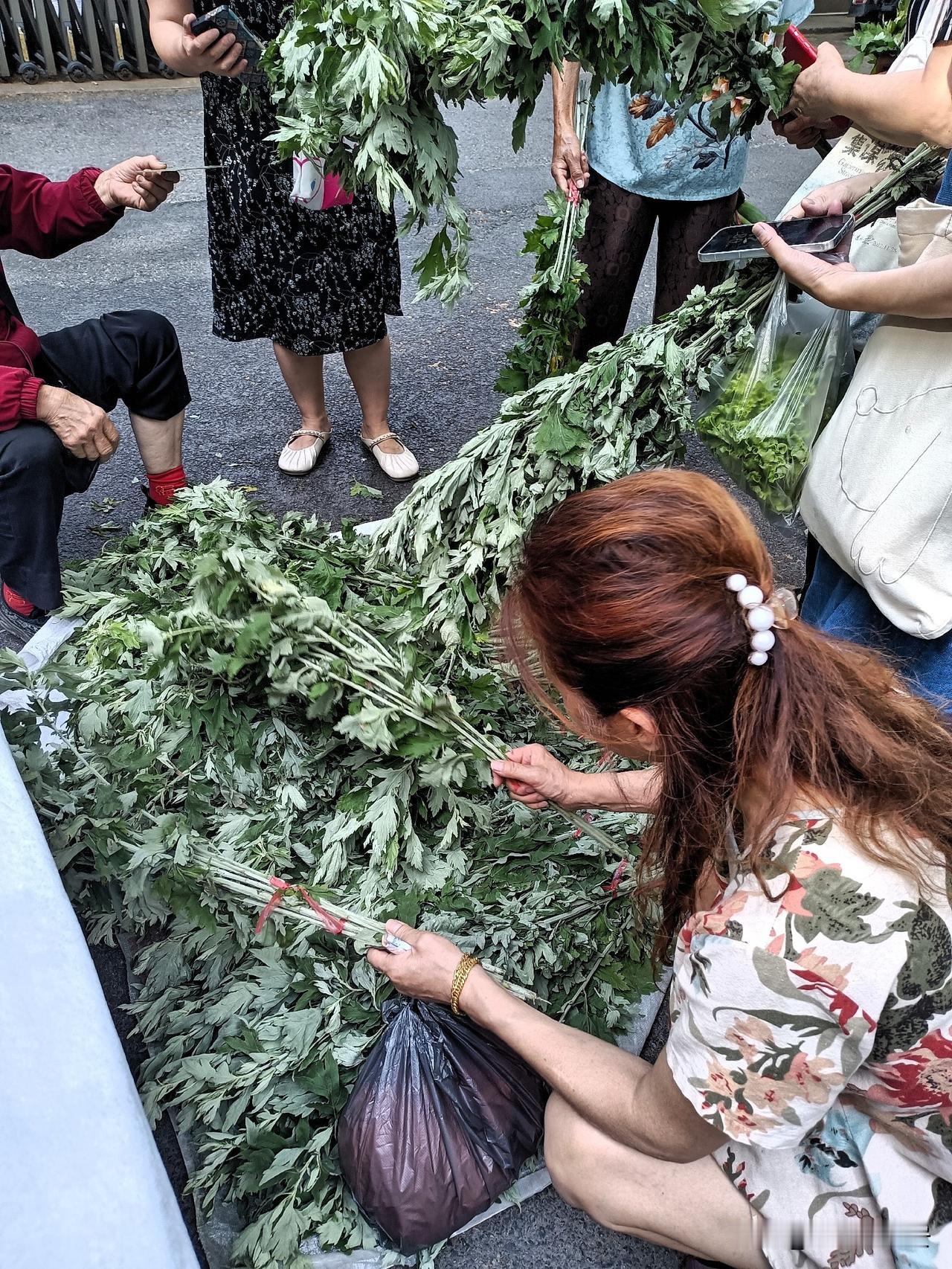 今天西安某早市上的艾草，特别受欢迎，先是看见一辆带大货仓农用车上，满满当当一车厢