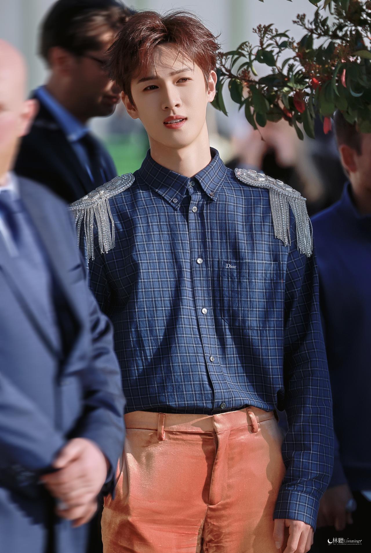 𝐎𝐫𝐚𝐧𝐠𝐞𝐬 𝐢𝐧 𝐓𝐮𝐢𝐥𝐞𝐫𝐢𝐞𝐬
