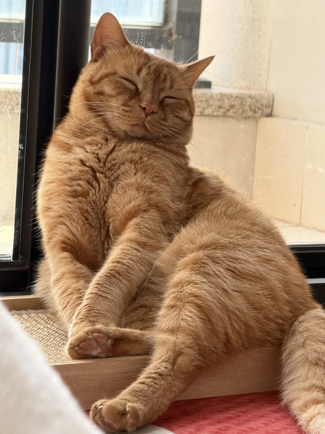 我将如此妖娆地睡去～