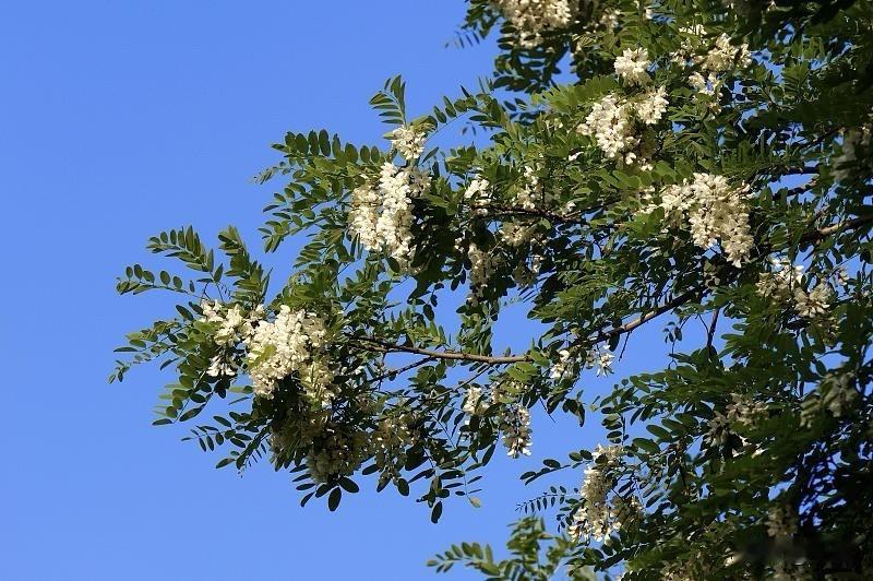 过了35岁，身体真的太诚实了

不得不承认，人一到三十几岁，身体和二十多岁根本没