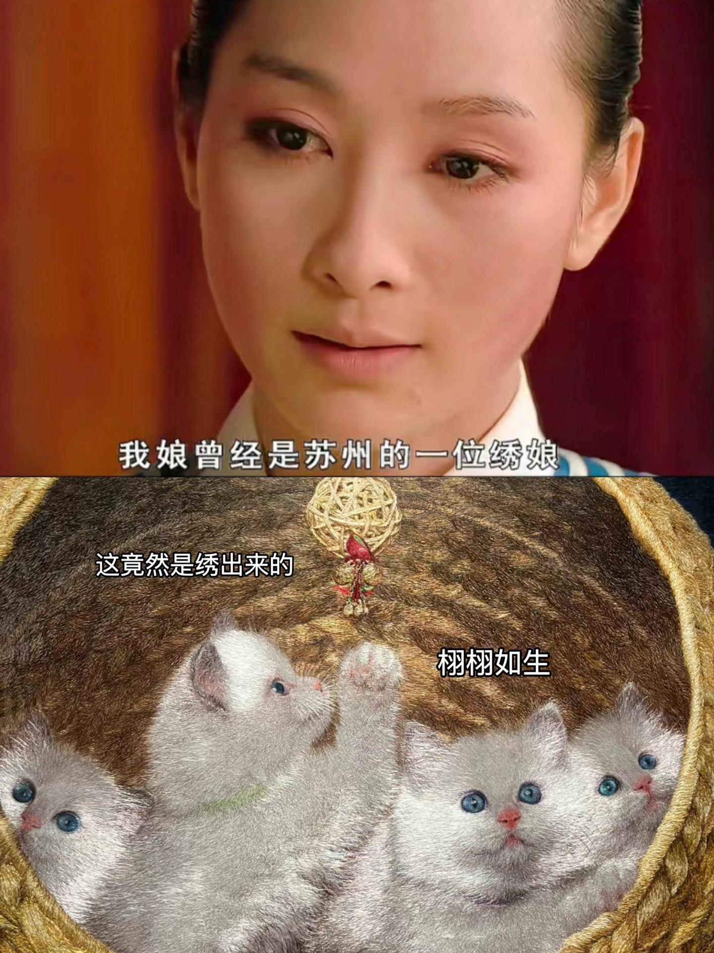 难怪夏冬春会那么骄傲的说这是苏绣，安陵容的确赔不起