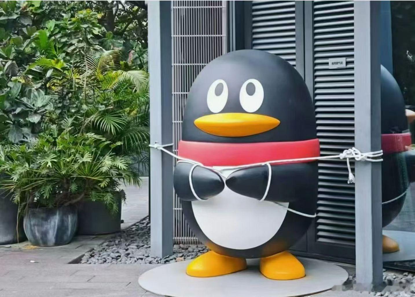 束手就擒的企鹅，哈哈哈。（图据朋友圈） ​​​