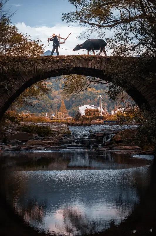 农村人老了还干活，原因挺现实。很多农村人过去没缴社保，老了没养老金，不干活就没收