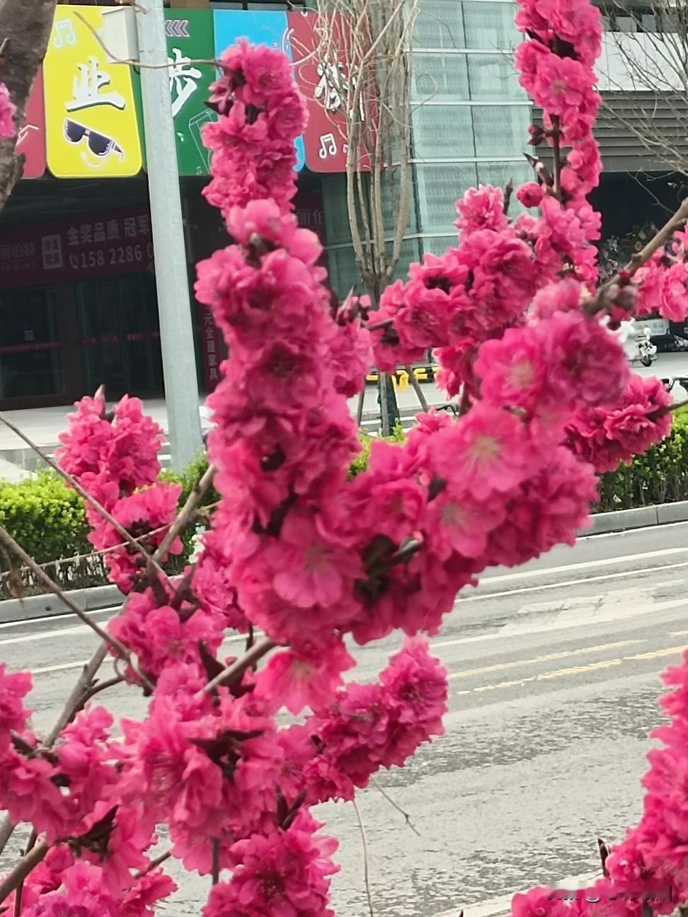 它从来不是一时的心动好感，不是花前月下的浪漫，更不是单方面的付出讨好，而是一场成