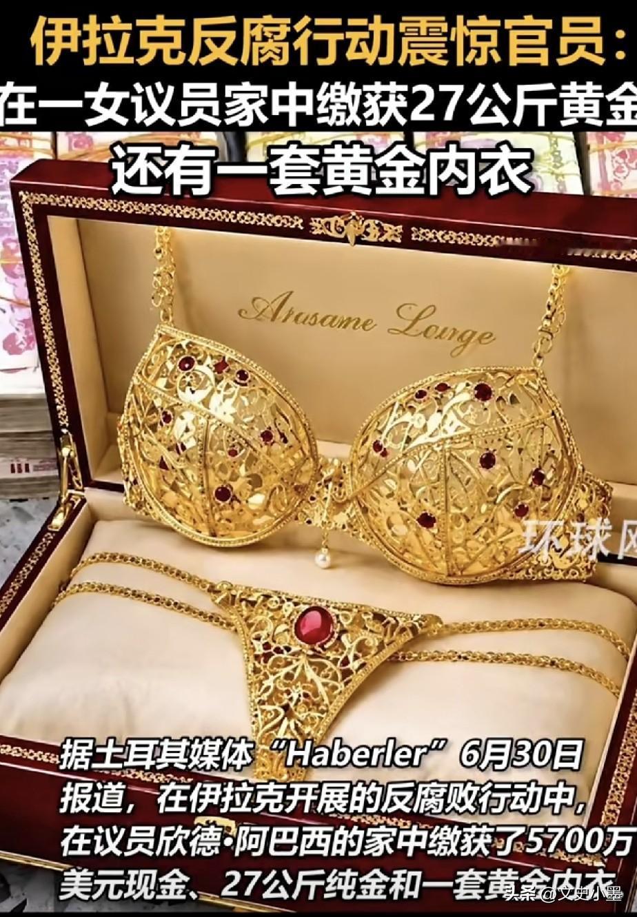 近日，伊拉克开展了一次反腐行动，其中在一名女议员家里搜到了5700万美元现金，和