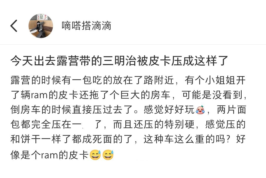 起猛了，把三明治压成一明治了[doge] ​​​