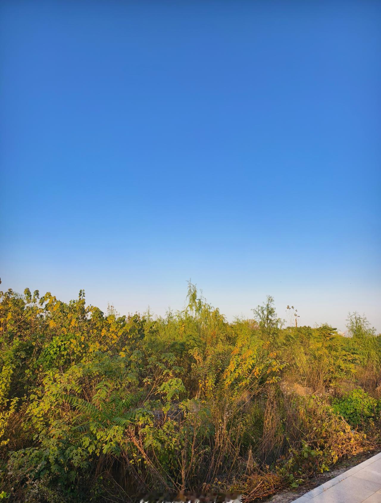看到这个新闻，心里有些不是滋味。想起很久以前看过的纪录片《生门》，里面也有一位脑