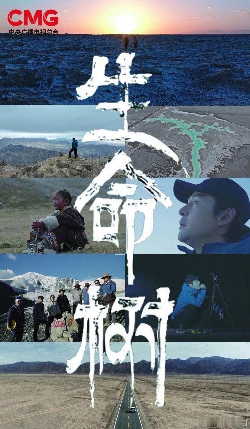 生态之美生态之花生态之氧生态之久生态之变生态之护期待生命树纪录片 ​​​