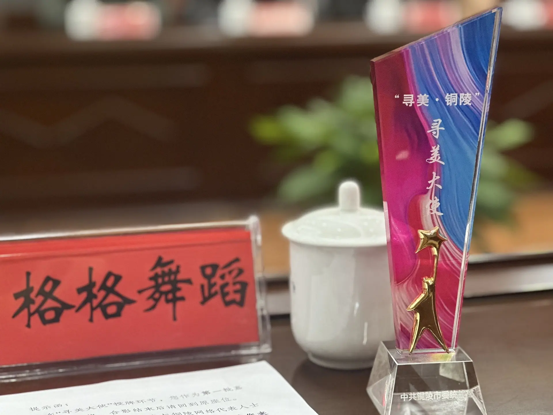统战网络代表，领奖咯，寻美铜陵，寻美大使✌️