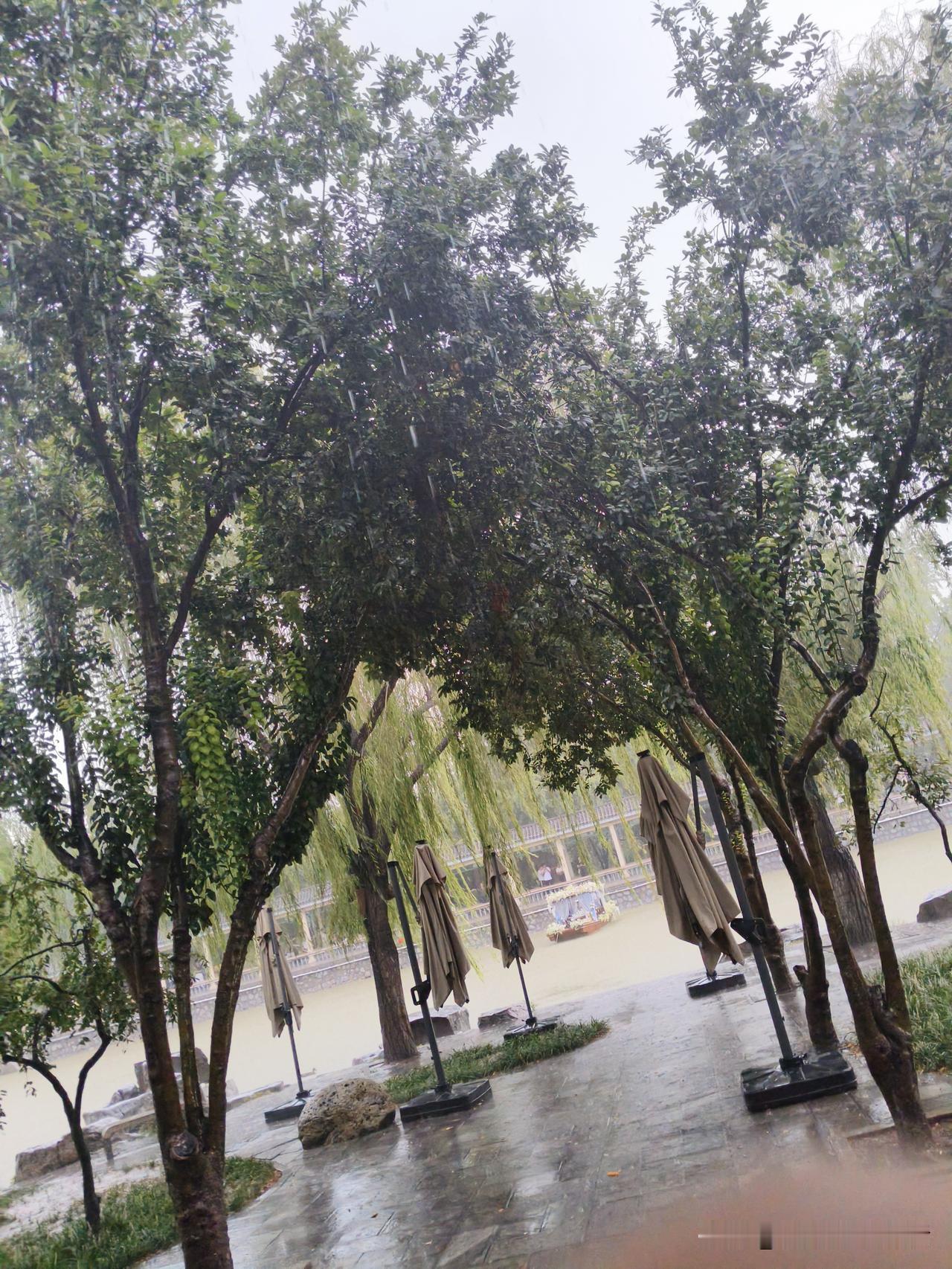 雨中漫步，绿意盎然，伞下静思，悠然自得。