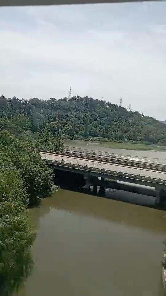 这个是东风吗？