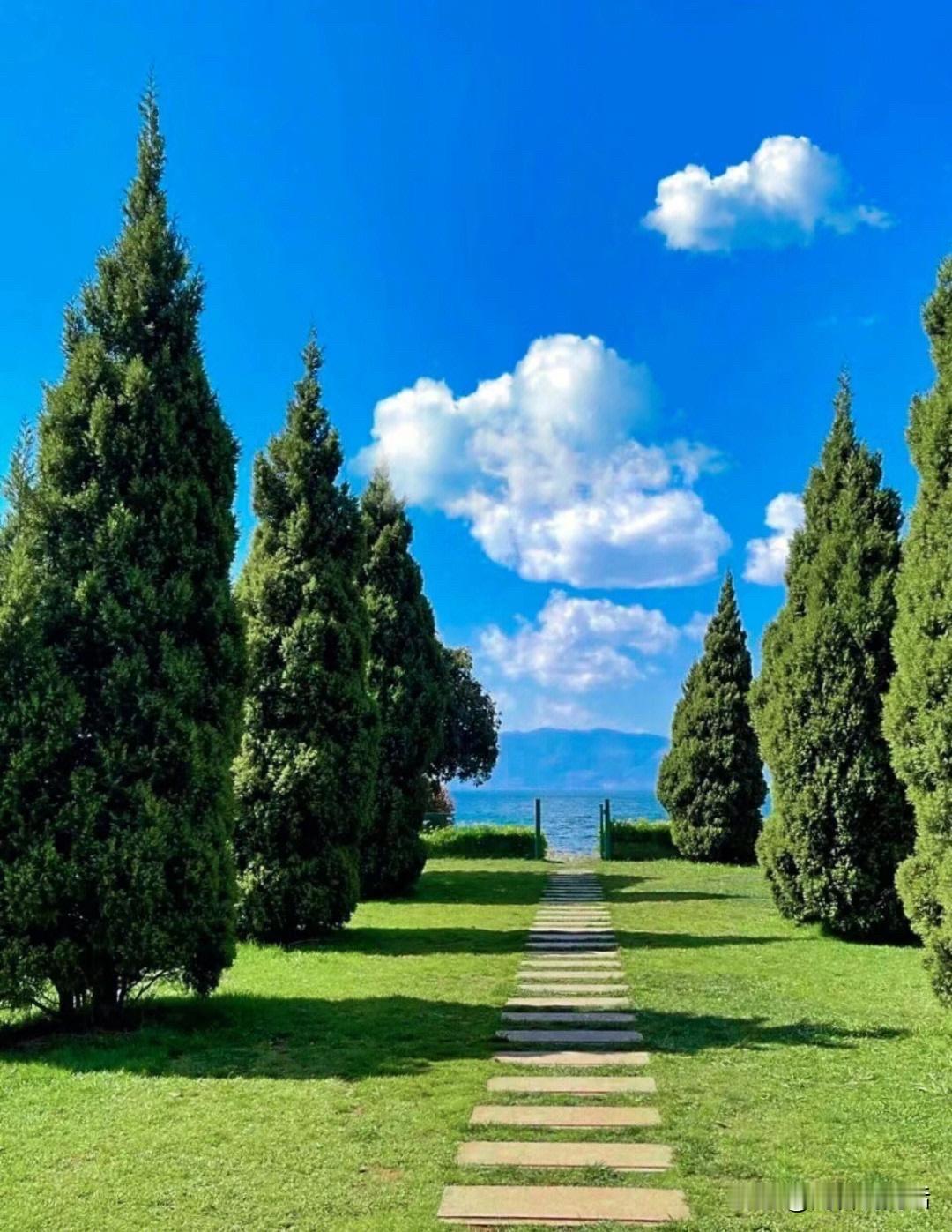 华晨宇演唱会黄了。他在直播里哭了。“现在好想骂脏话。”

哭什么？委屈什么？
