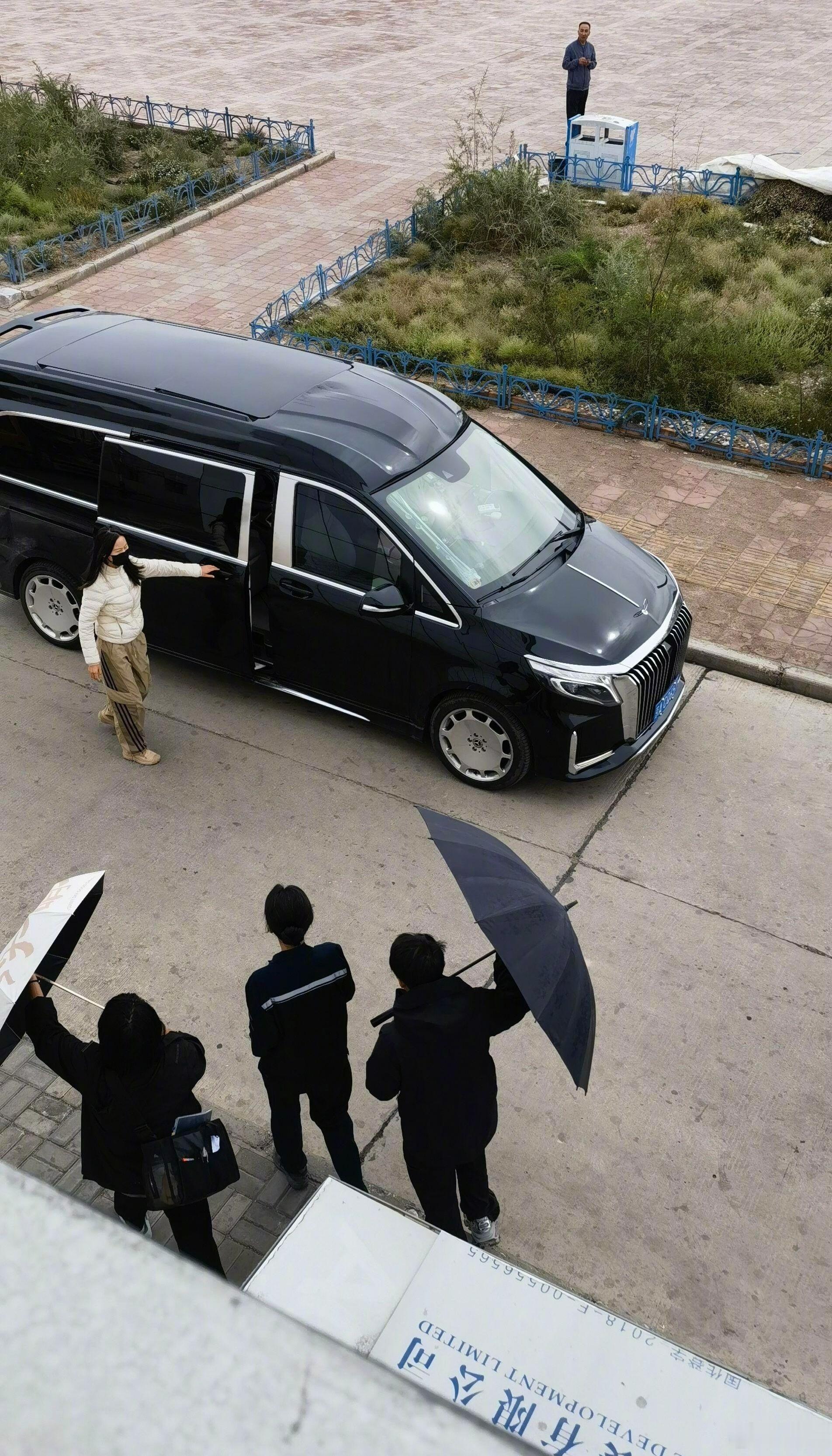 杨紫生命树上班背影照我的妈耶 有点帅啊  白菊盘发背影上班照 ​​​