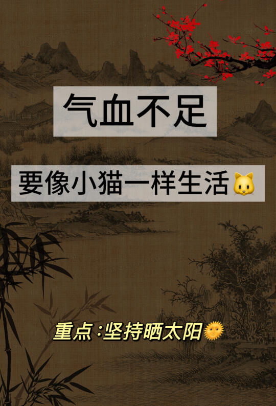 气血不足就要学小猫一样生活！