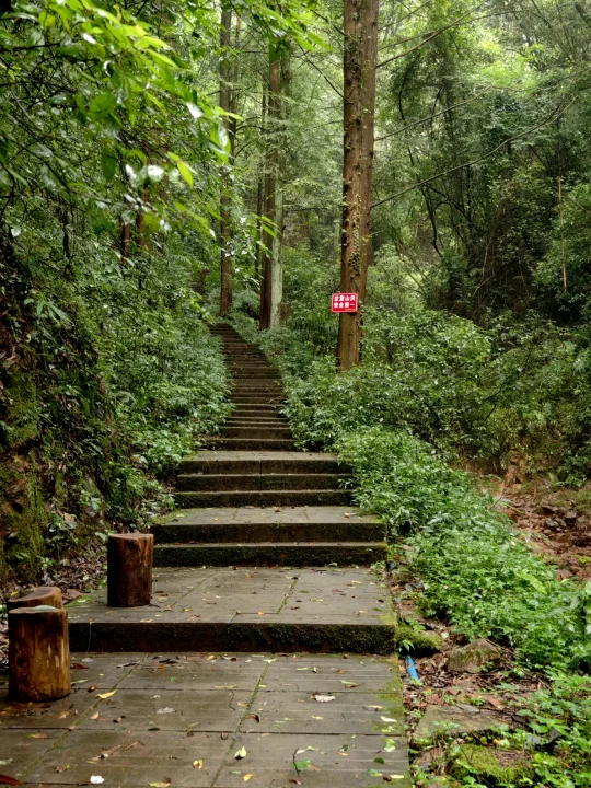 成都超隐秘徒步线！访深山道观获自然疗愈