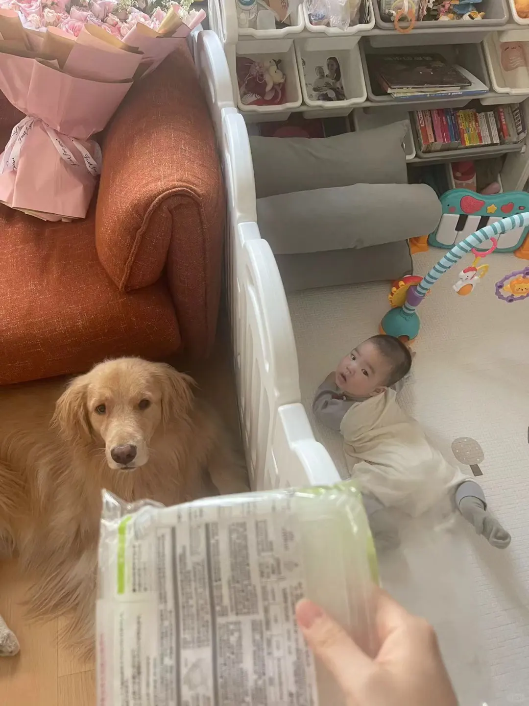 你俩为啥对这个这么感兴趣