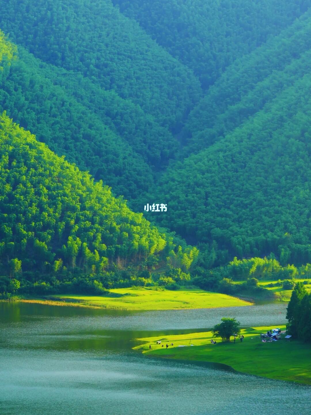 去了不下10次安吉👍这个亲子游攻略真是绝