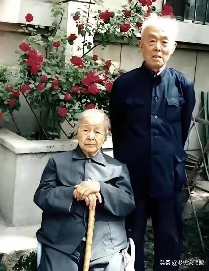 1964年，北大教授季羡林得知妻子彭德华要从老家来北京，大半夜的就急急忙忙把家里