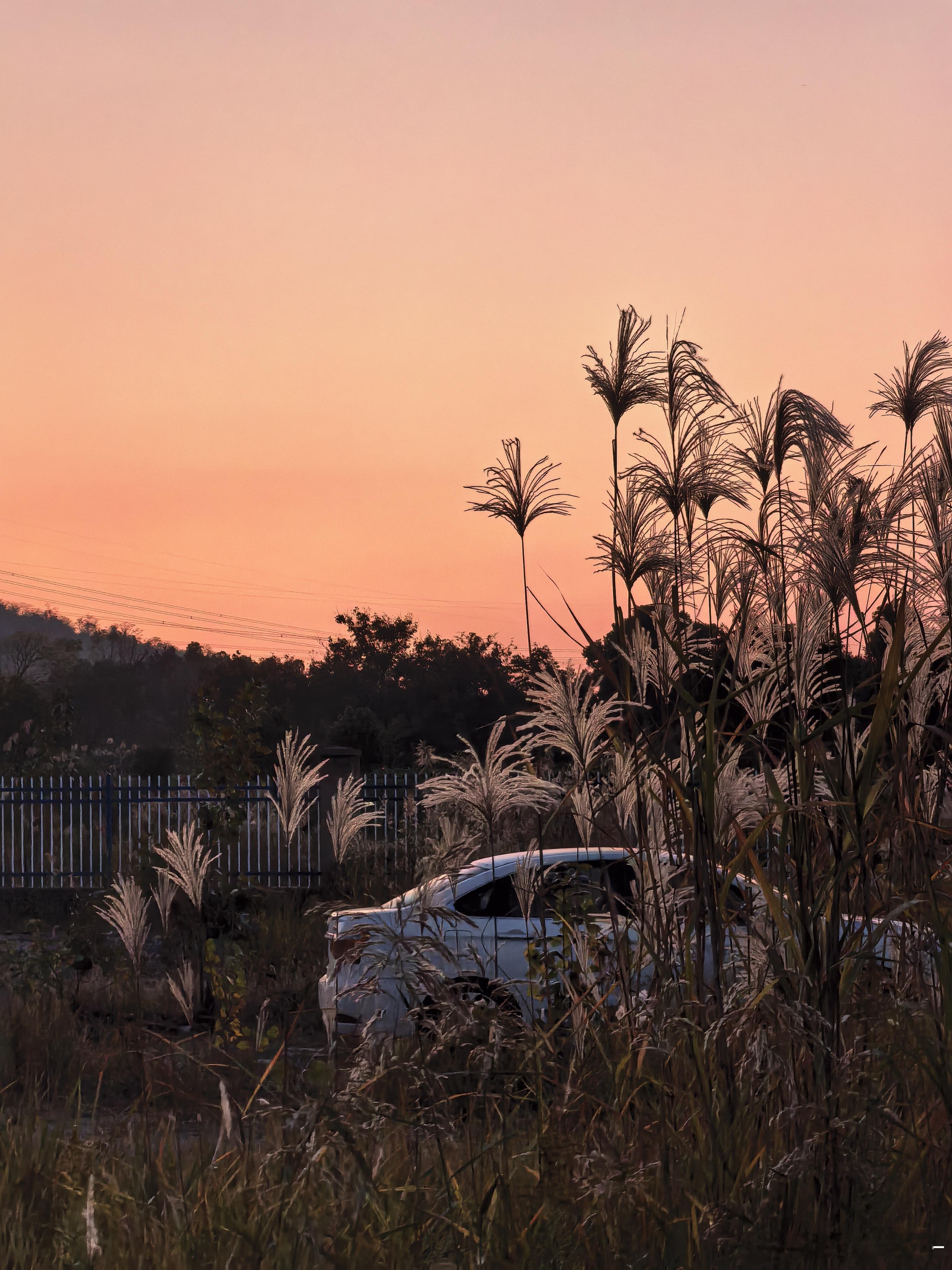 早，25年左后一个月啦 