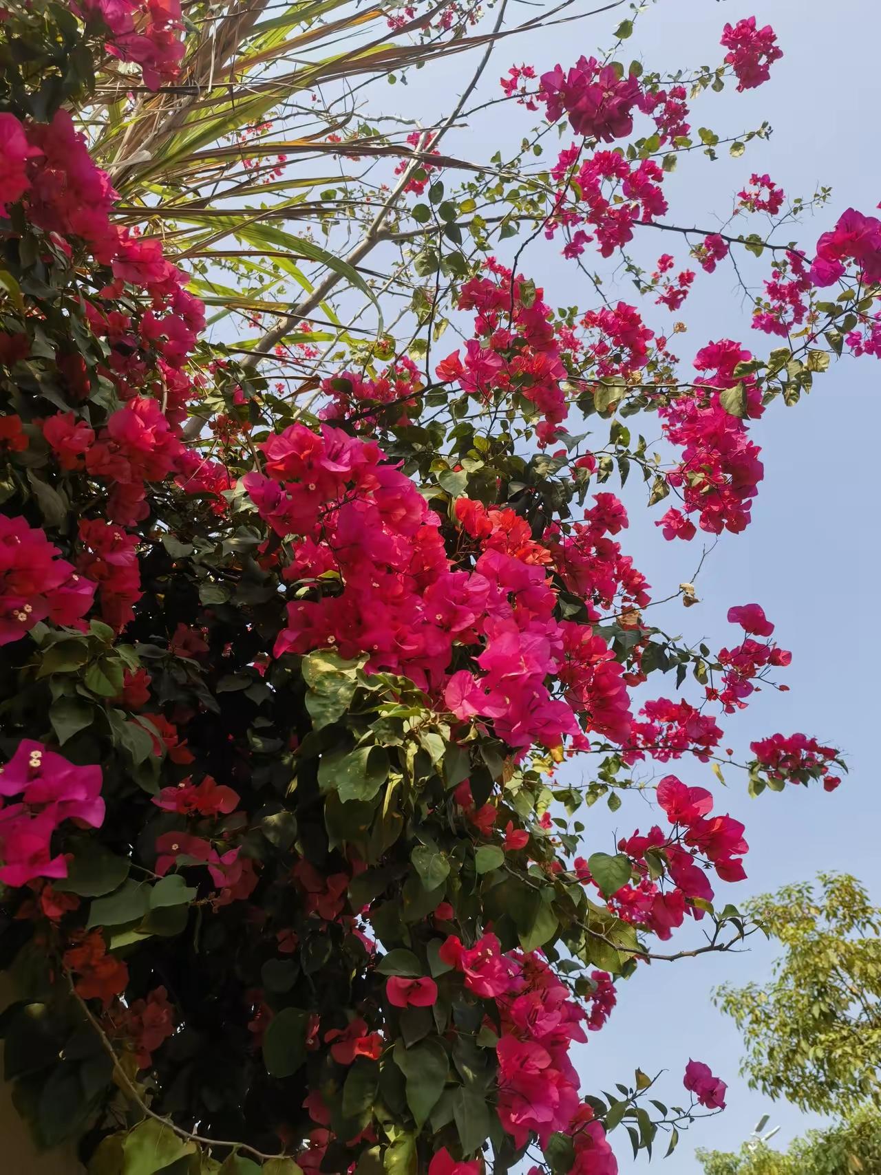 人生最重要的是什么？


人生中最重要的三件事，我觉得是珍惜健康、经营幸福、保持