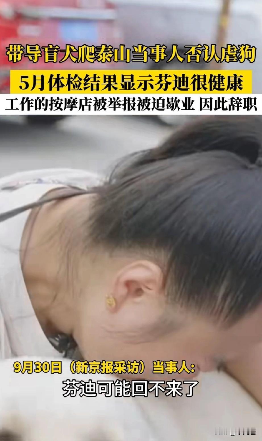 带导盲犬爬山的当事人大概率知道，芬迪一旦被接回，很难回到她身边了。送芬迪走的时候