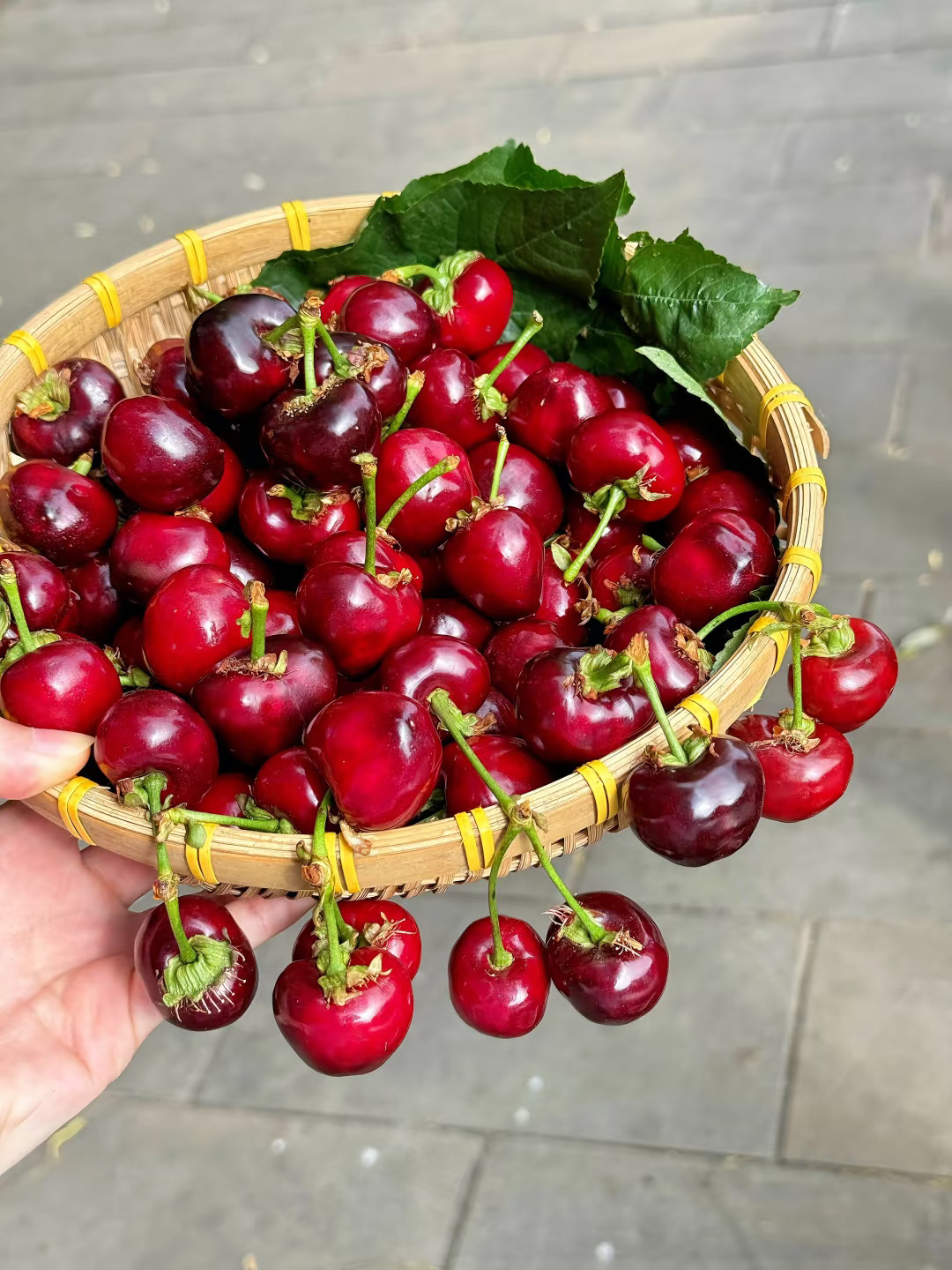 目前为止吃过果味最浓的车厘子🍒