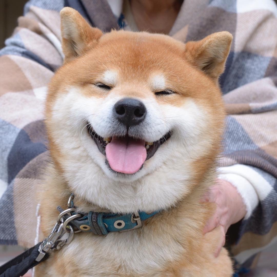 微笑是一种全世界通用的语言，微笑可以让你不需要讲任何话就能获得好感 ​​​