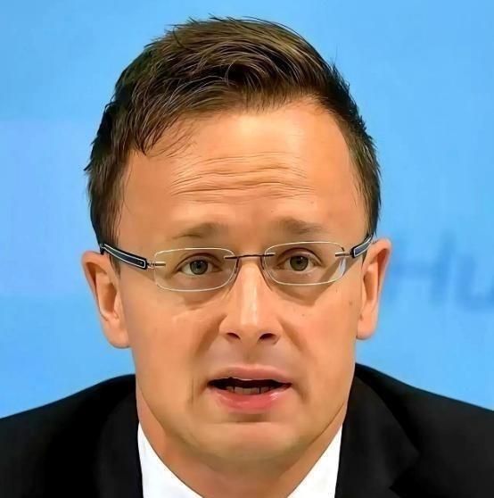 全欧洲估计都得被匈牙利外长这句话给噎一下，他说：“跟中国合作，不是可选项，是欧洲