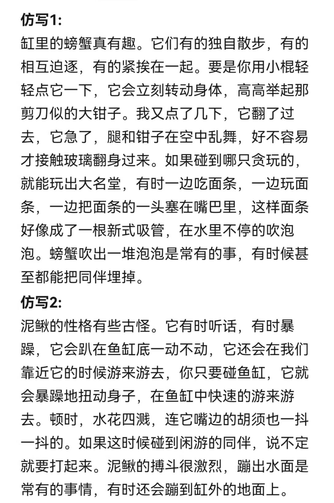 26春三年级下册语文，第11课《小虾》第三自然段仿写小练笔范文，收藏参考学习~三