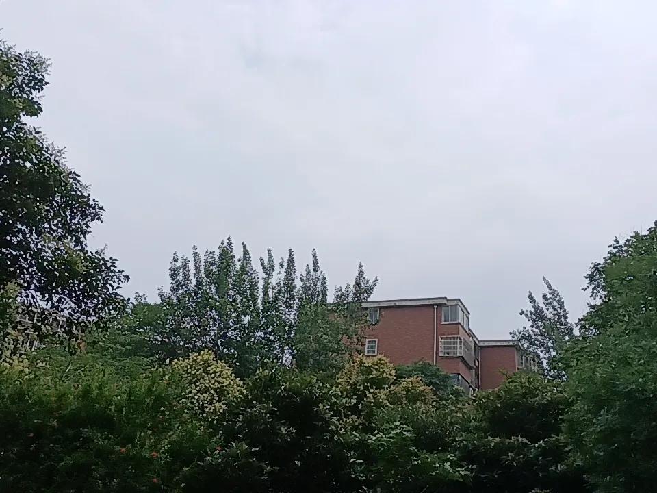 美股暴跌？人家跑了一万米，往回退1百米，算暴跌？连调整都算不上，最多是停下来喘口