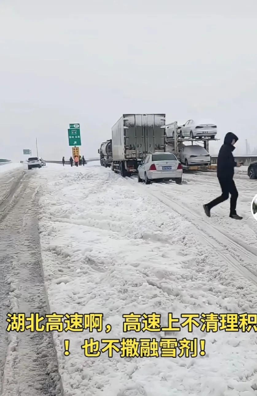 看雪还是来东北吧，要不尔滨给你送去也行啊，南方下雪实在不是好事。看看近日全国多地