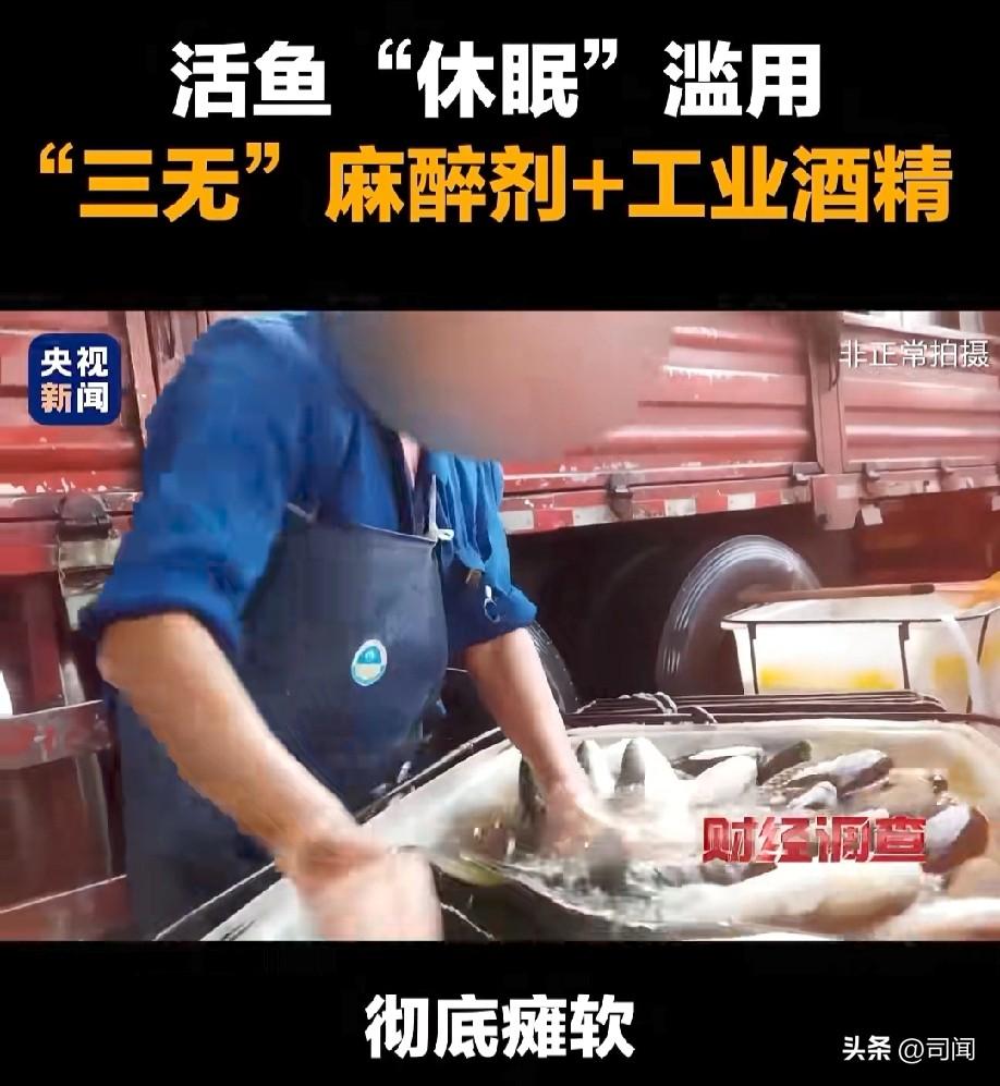 这条活鱼上央视了！！！
活崩落跳的鱼如何让它安静下来？
3月22日晚：央视《财经