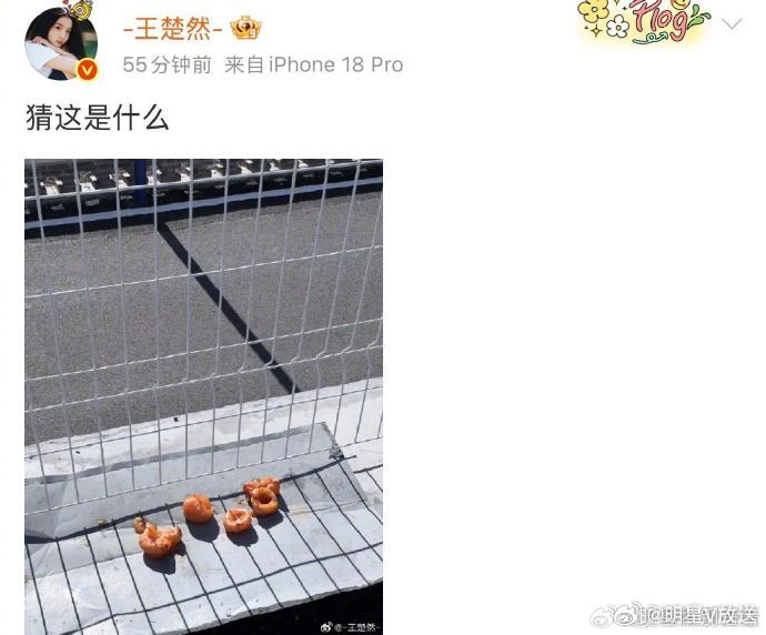 王楚然用裙摆假装扫地  王楚然空降 聊完美食聊秋景，配着照片说 “好米”，字里行