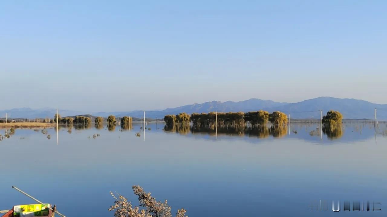 晚秋风景