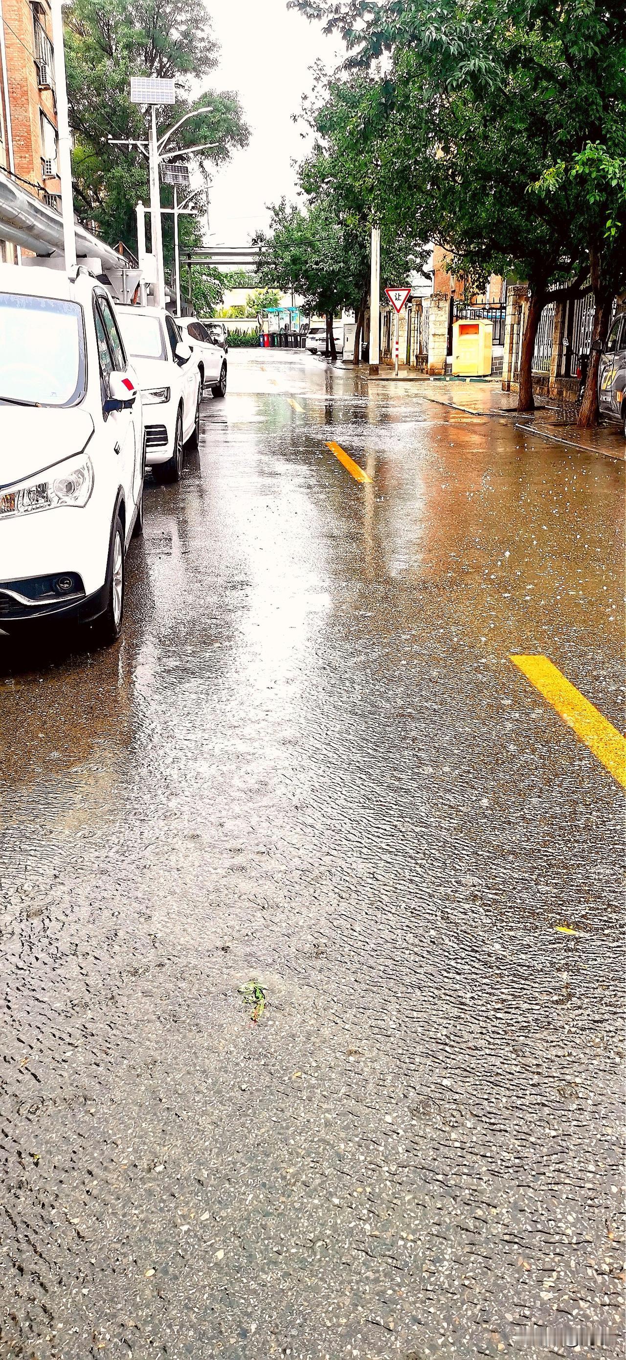 这几天，北京的雨有点多。现在雷电在打，雨在下，北京也发布了雷电黄色预警和大风黄色