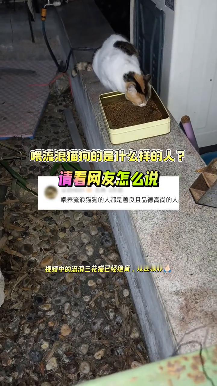 喂流浪猫狗的是什么样的人？请看网友怎么说。
喂养流浪猫狗的人都是善良且品德高尚的