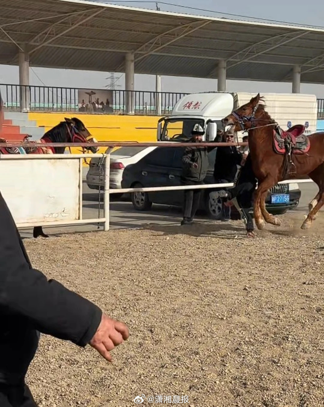 【新疆6岁#男孩策马险坠地脱险后又被扶上马背#，目击者：是为增加孩子征服感】近日