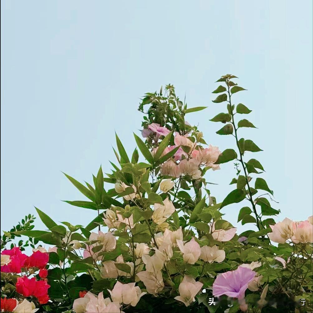 信阳市迎来新的政府主要负责同志
 
4月21日上午，法学博士卢希望履新该市。
 