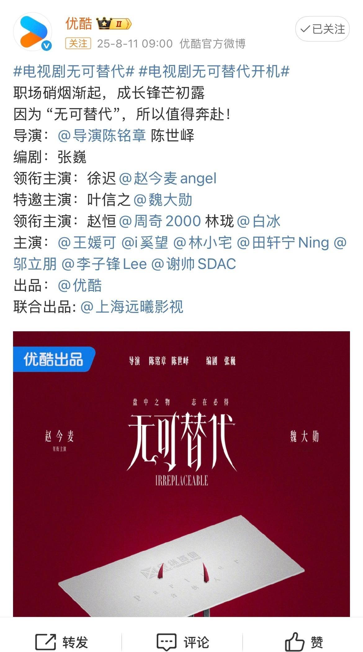 电视剧无可替代开机 无可替代官宣阵容并开机，魏大勋标明了是特出不是二番，现在的剧