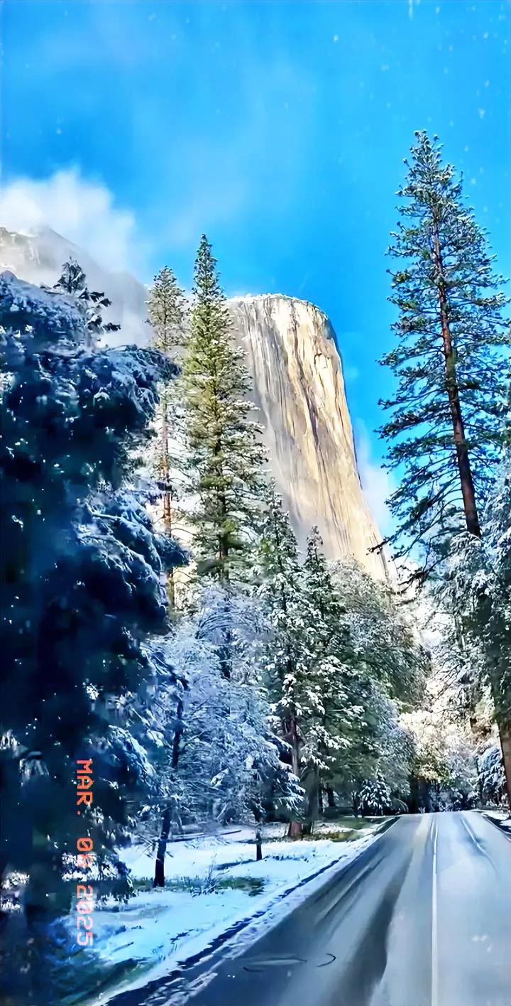 冬日里，巍峨的巨石和白雪覆盖的松树，仿佛置身仙境。雪景奇特景观 冬日魔幻风景