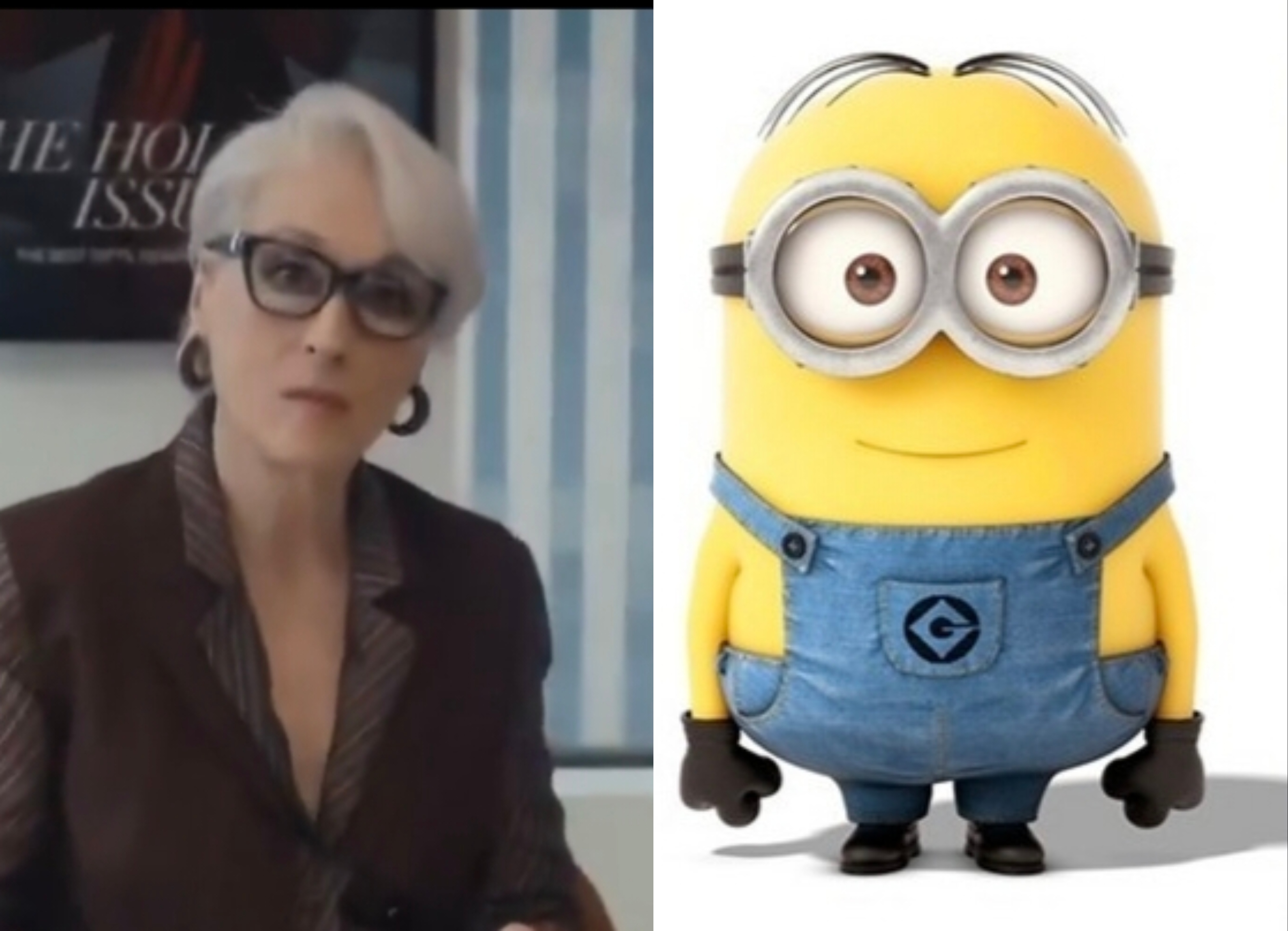 ……不再是北美沈殿霞了  是小黄人 