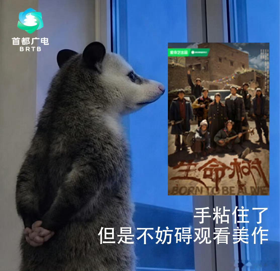 被这个首都广电笑晕