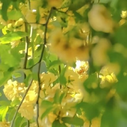 别羡慕别人的顺，你走的每段弯路都在教你成长；别害怕暂时的慢，稳扎稳打的人，走得更