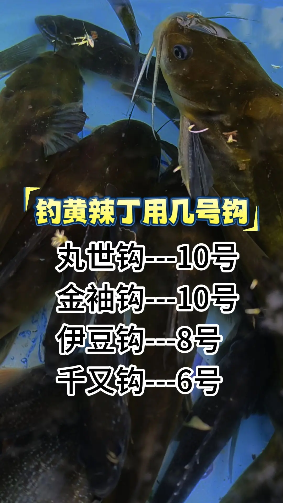 用什么鱼钩好？用多大钩子合适？户外 用几号鱼钩中鱼率高？新手钓鱼入门必...