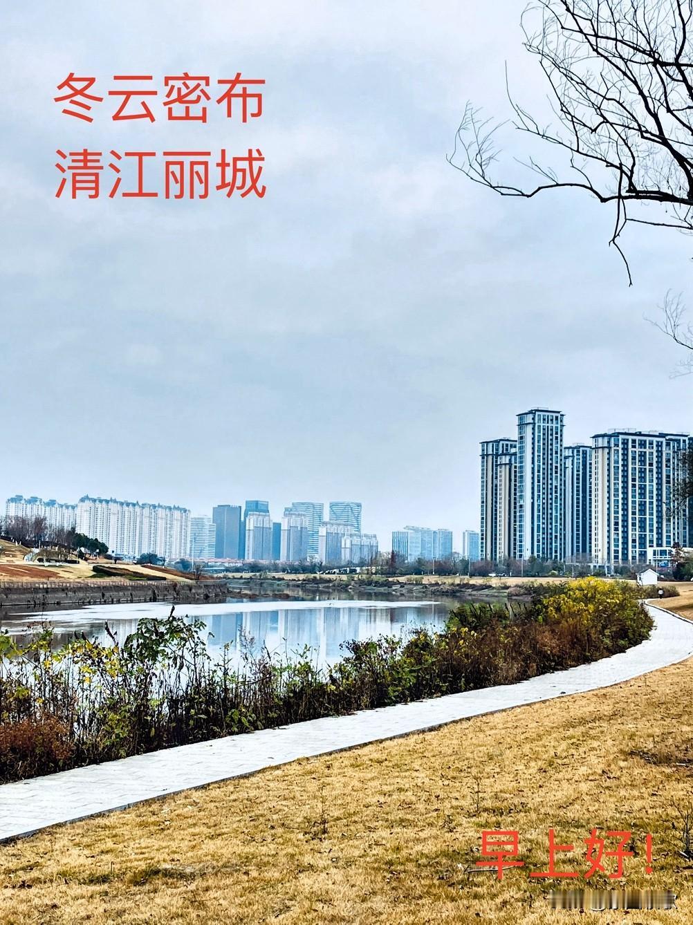 分享一张最近随手拍的照片